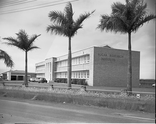 Sugar Research Institute, West Mackay, 1966