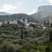 Vilas de pedra no meio das oliveiras