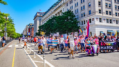 2017.06.11 Equality March 2017, Washington, DC USA 6563