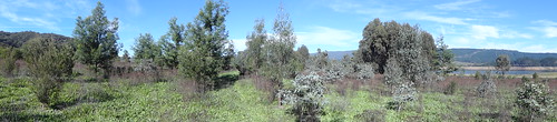Bretti Reserve