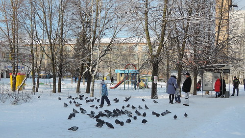 Impressions of Winter ©  Krasniza