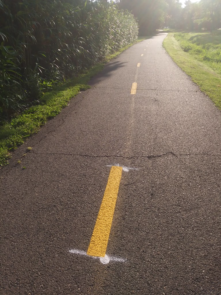 : Lucky Run (Arlington VA) multi-use trail - early morning