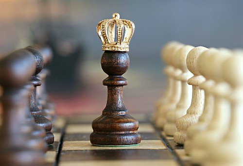 Queen of pawns ©  svklimkin
