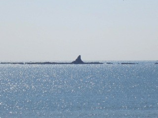 烏帽子岩なんて海岸から見たらこんなものよ...