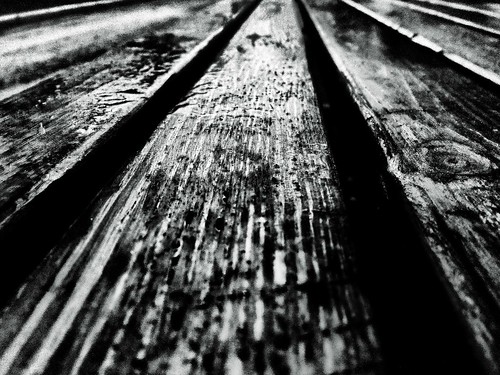 Woody bench ©  NO PHOTOGRAPHER