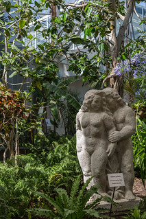 Adam & Eva In Tallinn Botanic Garden