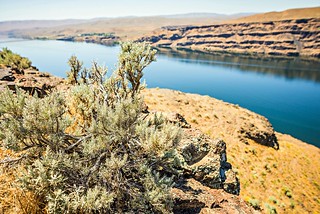Wanapum Lake Colombia River Wild Horses Monument and canyons