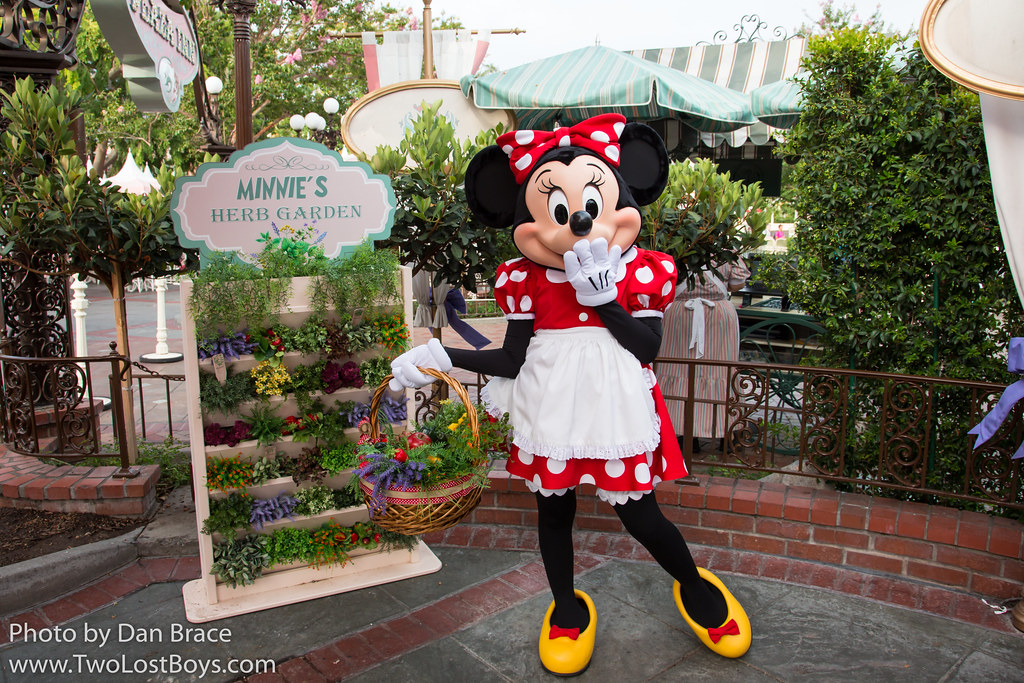 Minnie and Friends Breakfast in the Park at Disney Character Central