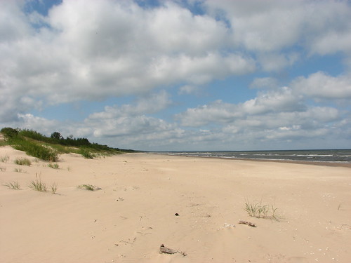 Baltic_sea_shore_Irbe_estuary_Latvia ©   