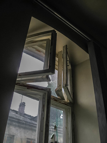 Window ©  Raymond Zoller