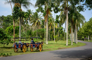 Horse carts at the Borobudur in Indonesia