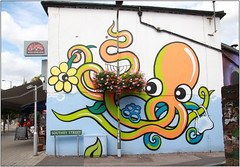 Octopus's Garden