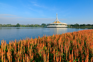 Suanluang Rama IX