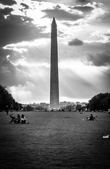 2017.09.17 DC People and Places Washington, DC USA 8841