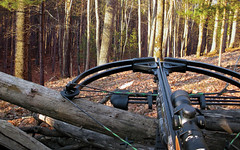 crossbow crossbowhunting hunting deerhunting