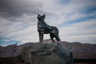 Monument of The Collie dog, Lake Tekapo,  New Zealand