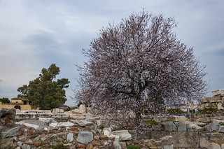 Archaeological Site of Eleusis - Elefsina, Greece