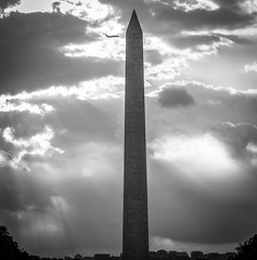 2017.09.17 DC People and Places Washington, DC USA 8846