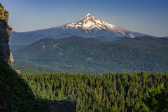 Mt. Hood from Larch Mountain