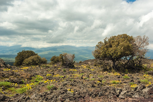 Etna National Park ©  Konstantin Malanchev