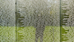 2017.10.18 War Memorials, Washington, DC USA 9633