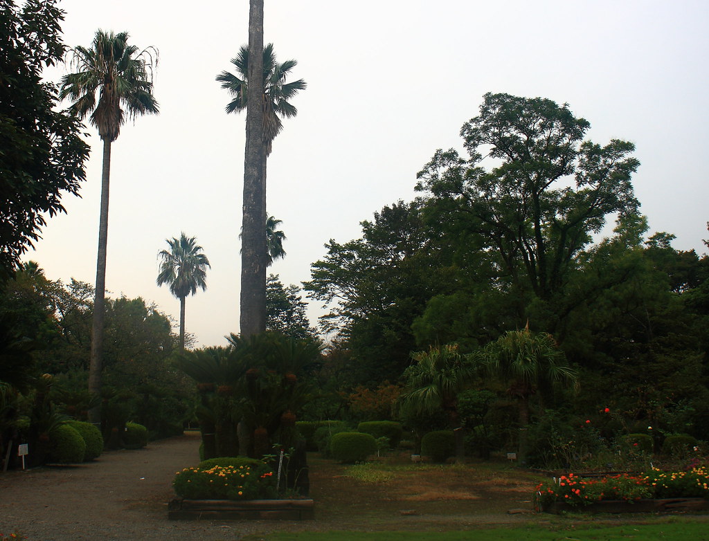 : botanic garden
