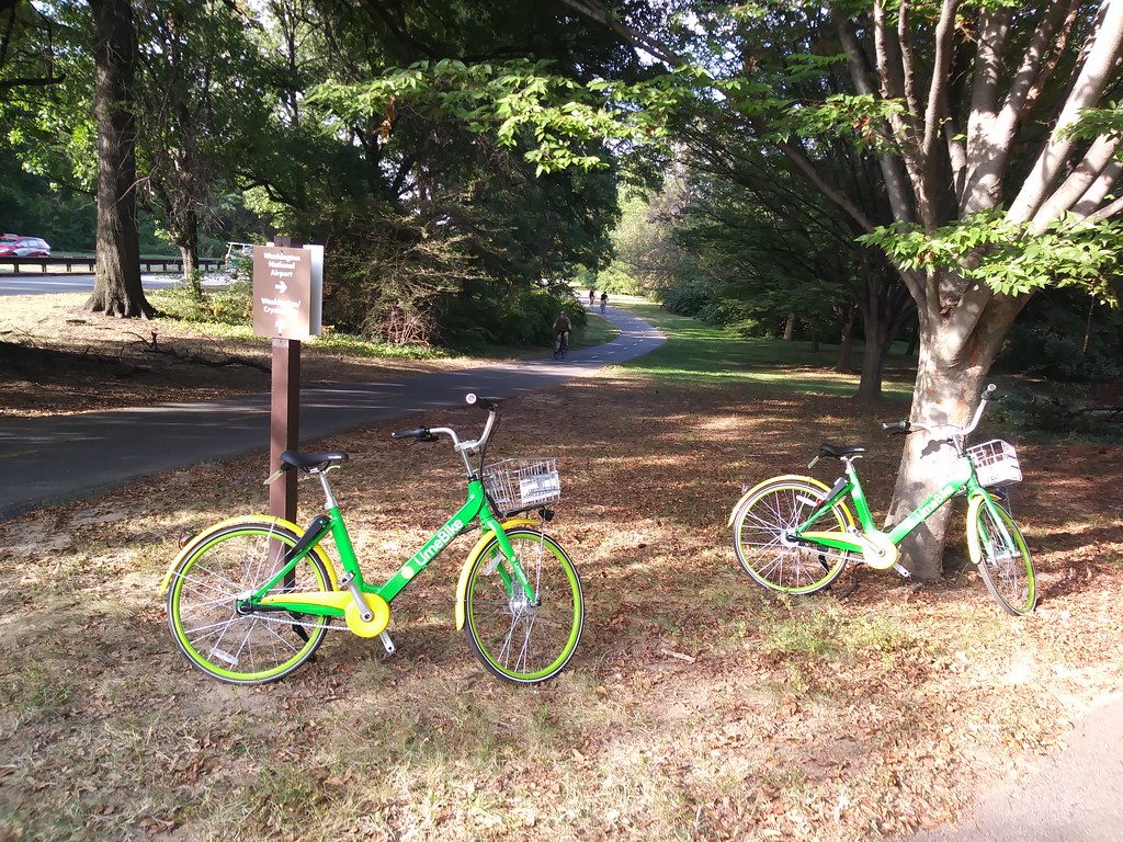 : LimeBikes near National Airport on Mt Vernon Trail