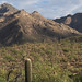 Sun and shadow on the Catalinas from Sabino Canyon