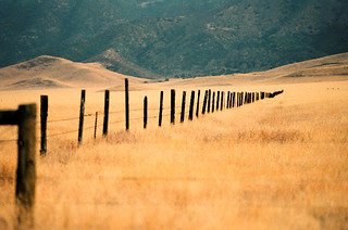 Grassland Fence by Richard Pradenas