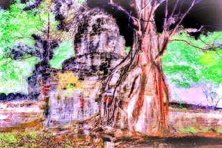 Cambodia - Angkor - Ta Som Temple - 101bb
