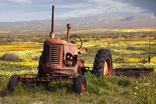 Wild Tractor by Richard Pradenas