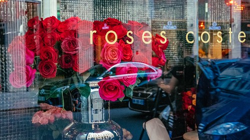 Roses & Cars