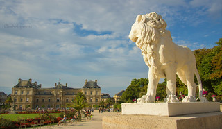 Lion Facing French Senate