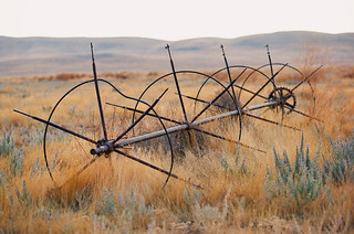Irrigation Wheels by Richard Pradenas