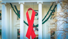 2017.12.01 Red Ribbon at the White House, World AIDS Day, Washington, DC USA 1130