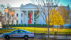 2017.12.01 Red Ribbon at the White House, World AIDS Day, Washington, DC USA 1123