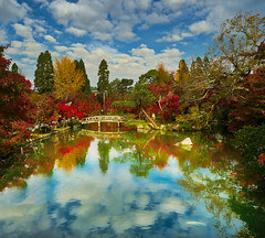 Kyoto Reflection
