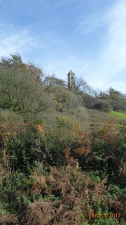 Tyndale monument, North Nibley