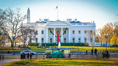 2017.12.01 Red Ribbon at the White House, World AIDS Day, Washington, DC USA 1117