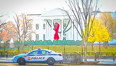 2017.12.01 Red Ribbon at the White House, World AIDS Day, Washington, DC USA 1128