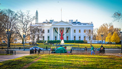 2017.12.01 Red Ribbon at the White House, World AIDS Day, Washington, DC USA 1114