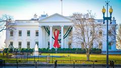 2017.12.01 Red Ribbon at the White House, World AIDS Day, Washington, DC USA 1129