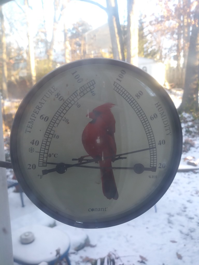 : Virginia-oriented thermometer