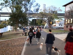 walk-southbank-aug-2017-17