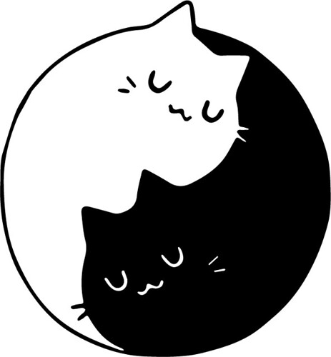 ying yang cats