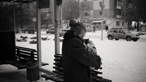 Woman With a Cat On Bus-stop ©   