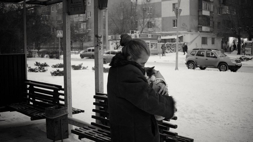 : Woman With a Cat On Bus-stop