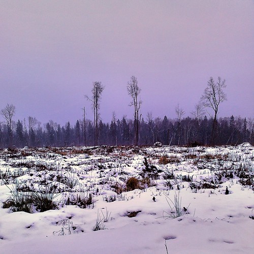mad colors of January ©  sergej xarkonnen