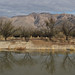 The lower ponds at Agua Caliente Park