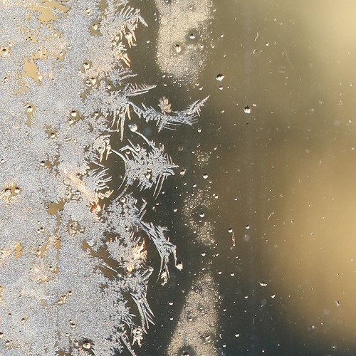 clumpsy frost ©  OliBac